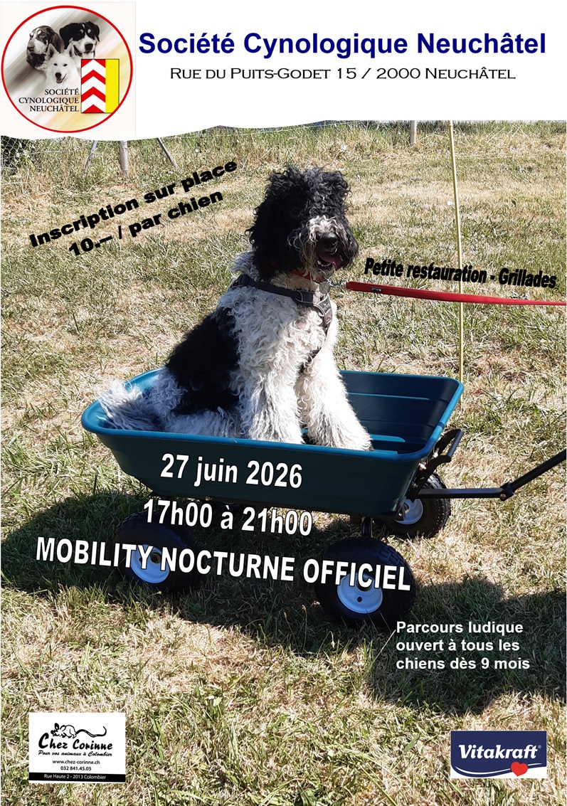 Concours officiel Mobility Nocturne